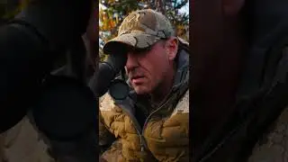 That's a Good Bull | Greg McHale's Wild Yukon