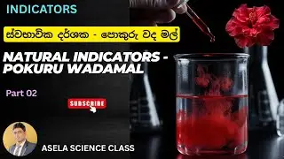 Hibiscus as a Natural pH Indicator | Science Experiment : ස්වභාවික දර්ශක - පොකුරු වදමල්  part 02