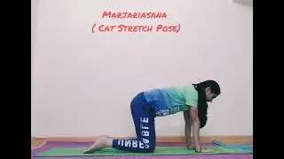 MARJARIASANA (CAT STRETCH POSE)