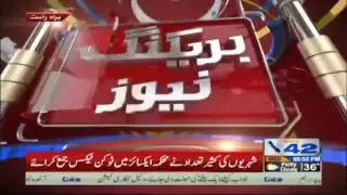 PFA crackdown against fast food mafia