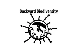 Backyard Biodiversity