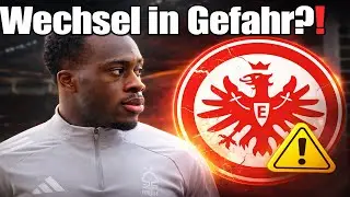 Frankfurt: Kalimuendo transfer in jeopardy?! Duranville's BVB departure has fallen through? Confu...