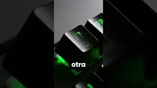 Bitwig en Español [Traducido 100%]