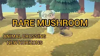 Animal Crossing New Horizons - Rare Mushroom