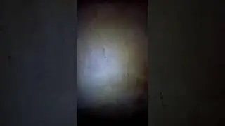 Horny-Devil