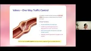 Day 16 (Part 2) - &ldquo;Yoga Anatomy & Physiology Basics | Foundation Course
