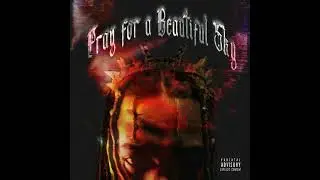 K  Forest   Pray For A Beautiful Sky
