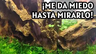 Repaso mensual al Nano Gambario #1