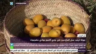أجمل مزارع النخيل في وادي حضروموت باليمن
