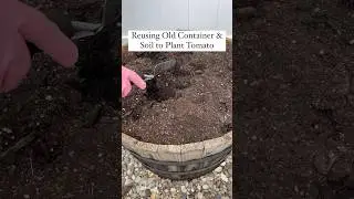 Don&rsquo;t throw away old potting soil! You can reuse it to grow more food! #gardeningtips #gardening