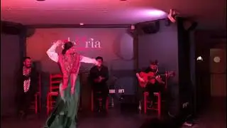 CARMEN CAMACHO | TANGOS