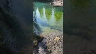 🇨🇦 Inkpots, Johnston Canyon Trail, Alberta, Canada #summer2025 #hikingtrails #rockymountains
