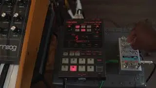 MoogMuse X sp202 X ChaseBlissDarkWorld