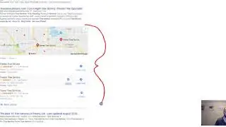 Tree Service SEO & Google Adwords Audit