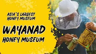 Wayanad Honey Museum - Asia's Largest Honey Museum | Vythiri #honeymuseum  #wayanadtourism