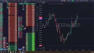 STEEM  the coin gave 30% profit, we are waiting for the historical maximum  + 30%))