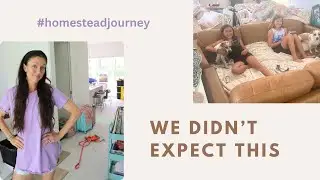 More house issues | House remodel update on the homestead | Small homestead journey EP3
