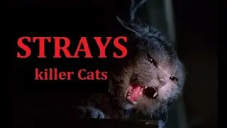 Strays (1991) killer cats - Movie in English