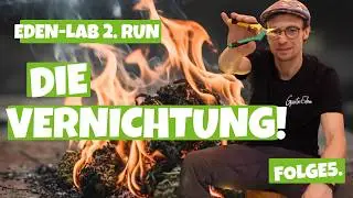 Zerst&ouml;rung und Ernte des ''Mehr Licht als die Sonne'' Experiments! Ernte gut alles Gut!