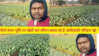 रनियां: मेरे गांव बनई के आदिवासी भाई कैसे मेहनत करके बंजर भूमि पर खेती कर जीवन बदल रहे हैं 🙏 जोहार 