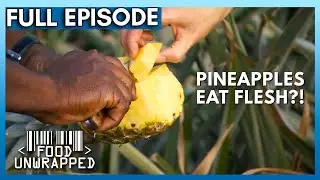 Can Pineapple Eat You Back? 😱 | Food Unwrapped Season 6 Episode 21 | Full Episode