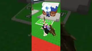 this is trader delar is very usefull #roblox