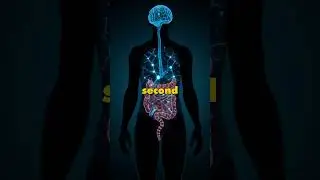 Life Changing Facts You Won&rsquo;t Believe Are True