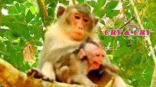 STUPID ANNA MISTREATED TOO HARD, ALBA DEEP HURT BY CRUEL MOM ANNA BITES & FIGHTING
