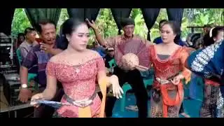 MENDUNG SORE - ELA ELO.. JOS GANDOS 👍 #budayajawa #tayub #tayubblora #semuaorang #heboh #fyp 