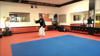 Uechi-ryu Karate Do - Kanchin Kata for Teaching by Len Testa