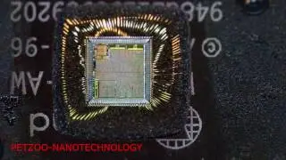 PETZOO-NANOTECHNOLOGY