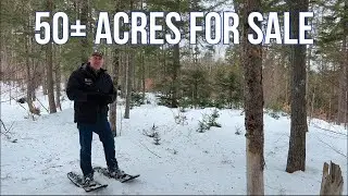 SOLD 50± Acres With Brook Frontage For Sale | Maine Real Estate