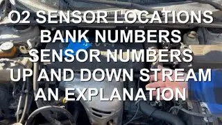 Расположение датчиков O2, номера групп, номера датчиков, восходящий и нисходящий поток: пояснение