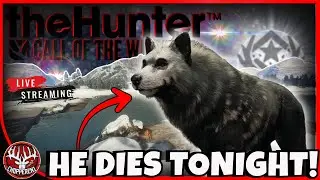 SHOOTING GREAT ONE WOLF #2 LIVE!!! The Hunter: Call of the Wild (Portrait)