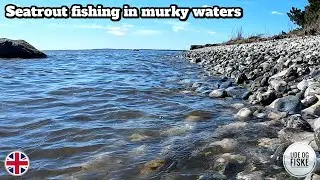 Seatrout fishing on the Danish coast | Murky waters, but still some fish!