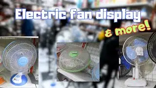 Electric fan display at department store