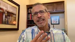 Nuts & Seeds : The Health Benefits of Raw vs Roasted 3 minutes to vitality with Dr Terlep