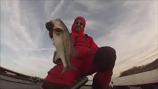 2017 Picasso Lures Commercial