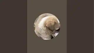Moving tail&rsquo;s  is live