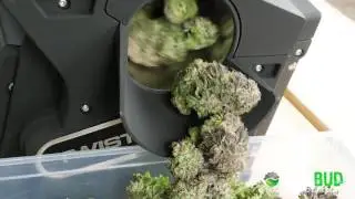 Twister T6 Women Trimming