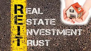 Инвестиции в недвижимость США. Плюсы и минусы. Что такое REIT?