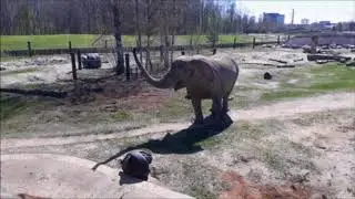 Teeme &Auml;ra