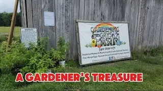 A Gardener's treasure located in King George, VA. Gardening Gays Farm 💜🌸