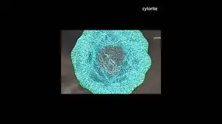 Virus attacking a cell #shorts #diabetes #fact #scientificinsights