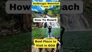 Best Place to visit in Goa - Dudhsagar Waterfall 🤫 How to reach #shorts #dudhsagarwaterfalls