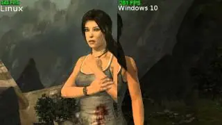 Tomb Raider benchmark video comparison, Linux vs Windows 10