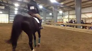 Catie Morgan on Quick (novice flat)