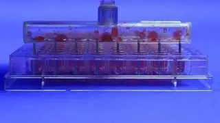 Care and Use of V&P Scientific's Wands and Manifolds