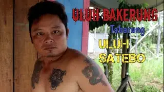 ULUH BAKERUNG TABARUNG ULUH SATEBO