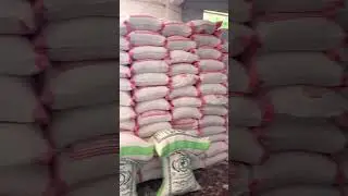 #flourmills #atta #wheat #maida #karachi #hayderyflourmills #milltour #wheatcrisis #korangi